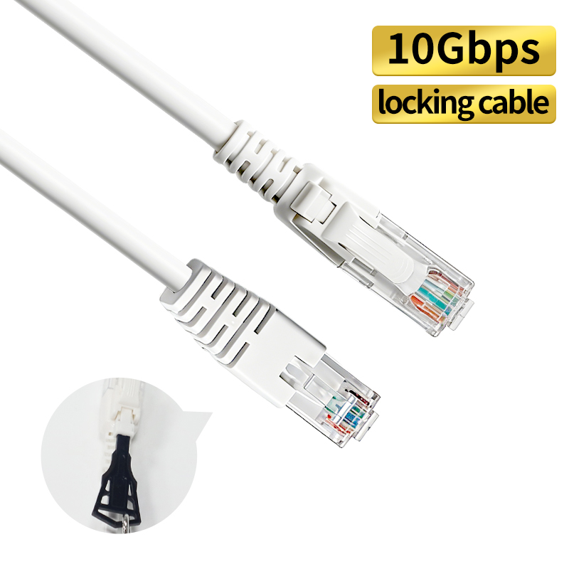 LAN CABLE Cat 5 （With a buckle）